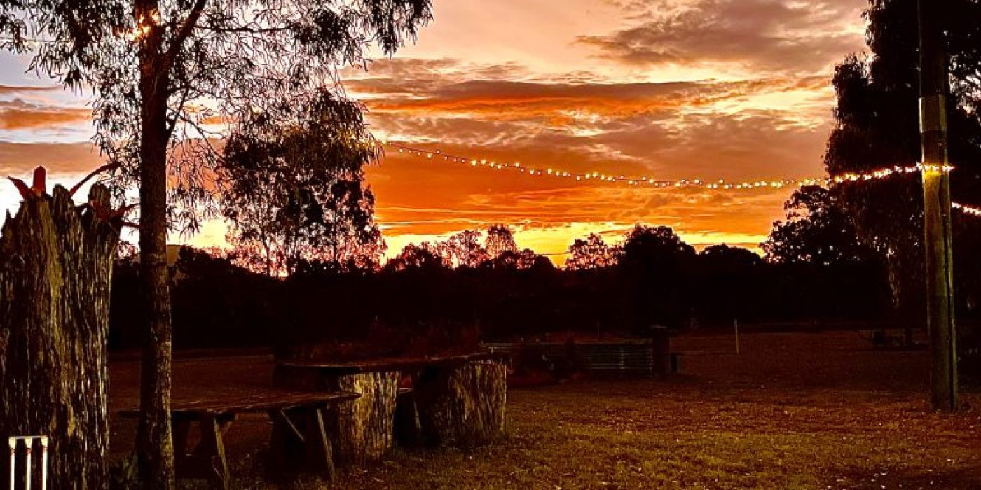 Sun setting over bushland setting