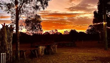 Sun setting over bushland setting