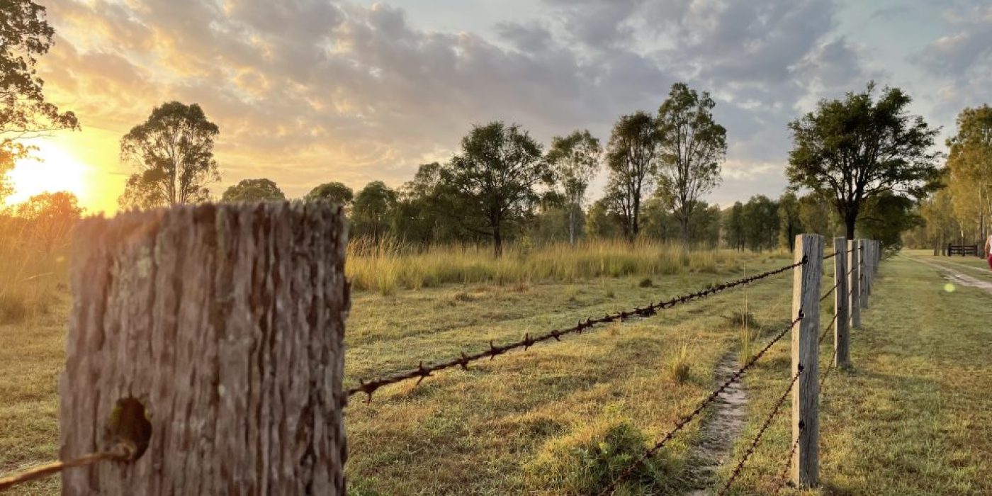 barbed wire fence with sun rise in background