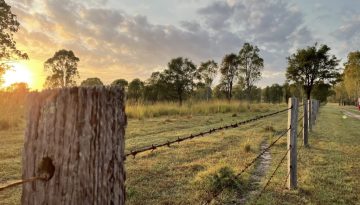 barbed wire fence with sun rise in background